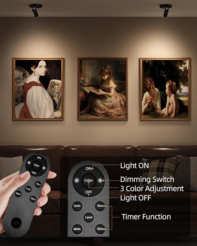 EZVALO Spotlights Indoor with Remote,5500mAh Rechargeable Picture Lights, Wireless LED Uplighting with Timer＆Dimmable, 3CCT,Mini Plant Spot Lights for Painting,Artwork,Accent Lighting(4Pack-Black)-Ruum Studio Home