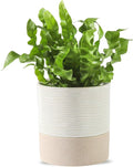 Nihow Self Watering Plant Pot: 4.5 Inch Ceramic Planter with Drainage Hole & Water Storage Plus for Indoor & Outdoor Plants - Cylinder Flower Pot for Herbs/Violets - White & Brown-Ruum Studio Home