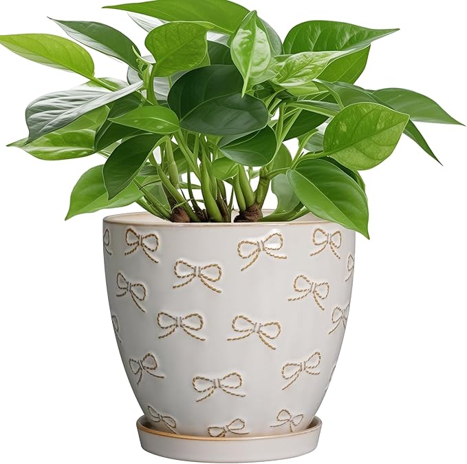 Ceramic Plant Pot 6.9 Inch - Ceramic Planter with Drainage Hole and Saucer Round Planter Flower Pot for Indoor Plants Outdoor Home Garden Office Decor White-Ruum Studio Home