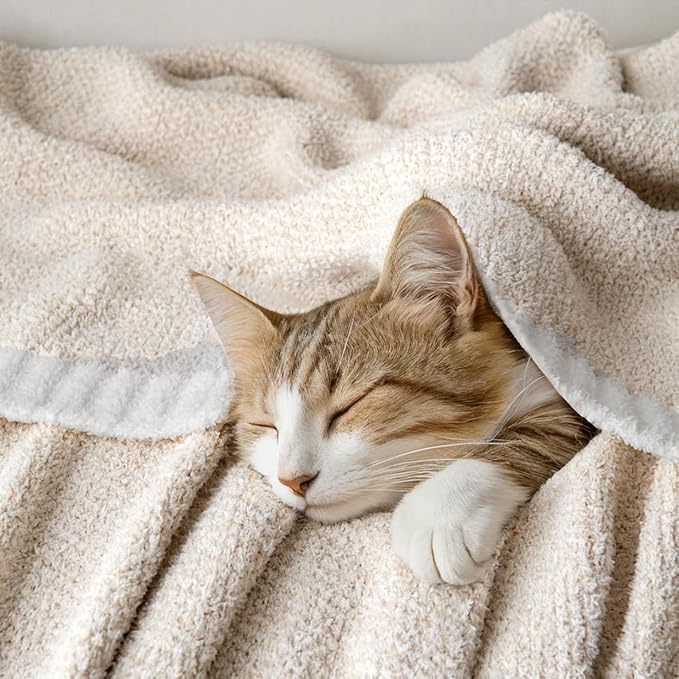 MIULEE Cream Super Soft Throw Blanket for Bed, Twin Size Cozy Fluffy Warm Blankets Knit Blankets for Couch, Sofa, Chair, Living Room, Camping, Picnic, 60 x 80 inch-Ruum Studio Home