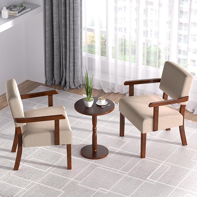 Accent Chair, Cat-Scratch Velvet Living Room Chairs Oversize with Soft Seat and Armrests for Dinning Room Bedroom Reading Room Waiting Room-Ruum Studio Home
