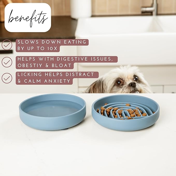 The Slowdown Bowl Silicone Slow Feeder for Cats & Dogs, Slow Eating Mealtime Solution with Modern Lick Mat Design, Reduces Gulping, Fits 1 Cup 6” Across x 1.25” Tall, Small-Charcoal-Ruum Studio Home
