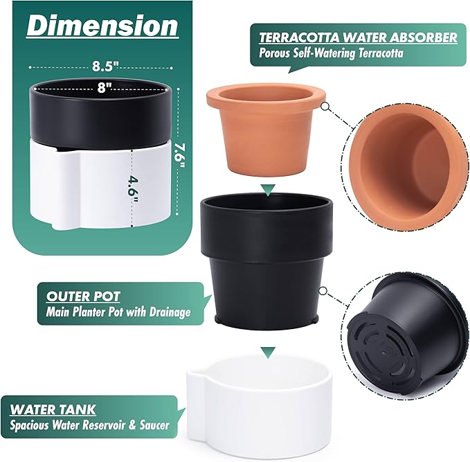 8 Inch Self-Watering Planter Pot with Terracotta Insert, Deep Water Reservoir, and Ceramic-Alike BPA-Free Plastic Planter Pot for Plant, Modern Planter for Houseplants, White/Black, 53-B-T-4-Ruum Studio Home
