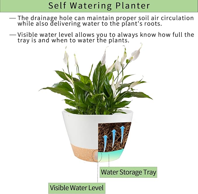2 Pack 10 Inch Hanging Planters for Indoor Outdoor Plants, Hanging Plant Flower Pot Basket with Drainage Hole with Removable Tray&Hooks Self Watering Plant Pot for Hanging Plants, White-Ruum Studio Home