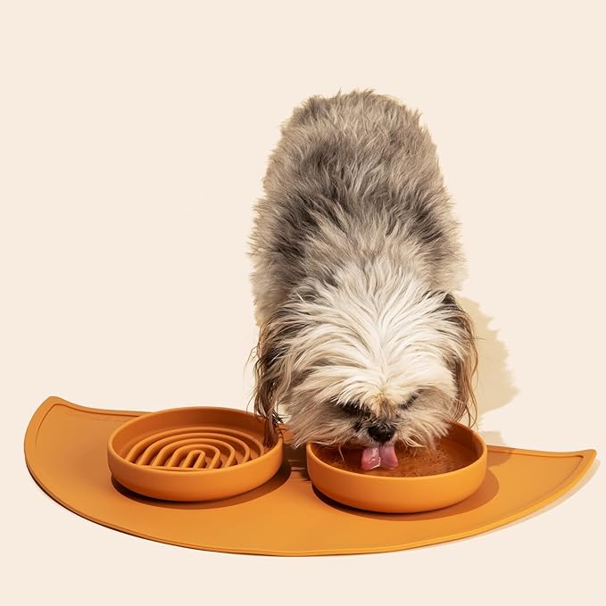 The Slowdown Bowl Silicone Slow Feeder for Cats & Dogs, Slow Eating Mealtime Solution with Modern Lick Mat Design, Reduces Gulping, Fits 1 Cup 6” Across x 1.25” Tall, Small-Sage-Ruum Studio Home