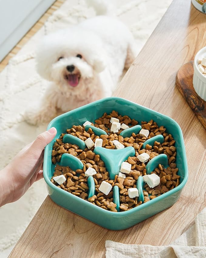 LE TAUCI PET Dog Slow Feeder Bowl Ceramic,3 Cups Puzzle Food Bowl for Small Medium Large Breed, Dog Bowls to Slow Down Eating, Maze-Ruum Studio Home