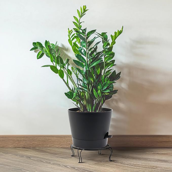 Self Watering Pots for Indoor Plants,12 inch Planters with Drainage Holes Plastic Flower Pots with Deep Reservoir, Black-Ruum Studio Home
