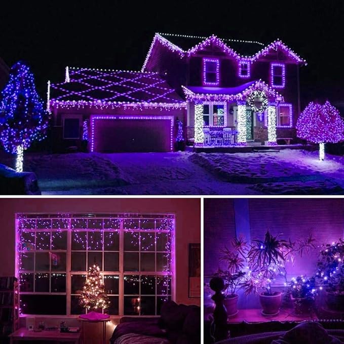 HOME LIGHTING 66ft Halloween Decorative Mini Lights, 200 LED Green Wire Fairy Starry String Lights Plug in, 8 Lighting Modes, for Indoor Outdoor Xmas Tree Wedding Party Decoration (Purple)-Ruum Studio Home