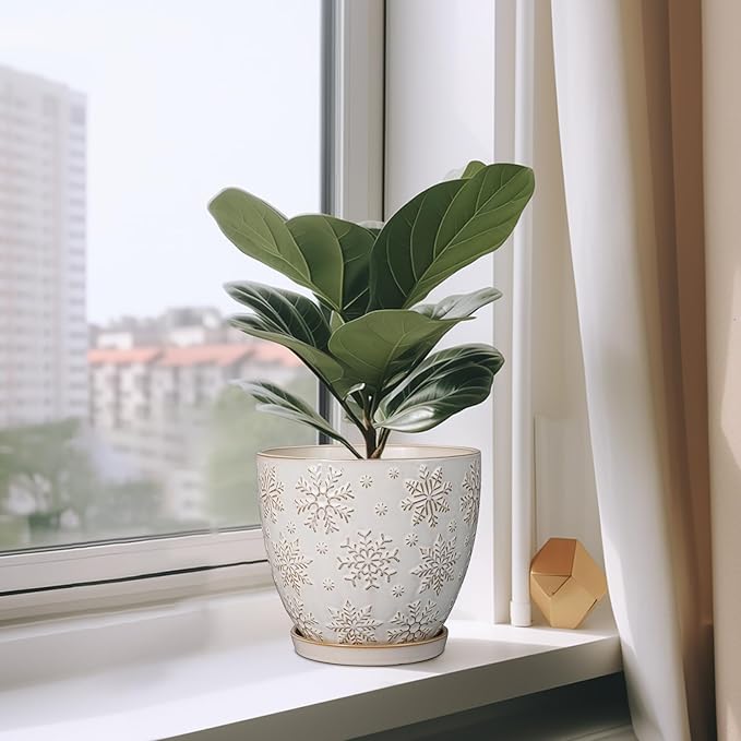 Ceramic Planter 8 Inch Plant Pot with Drainage Hole and Saucer Ceramic Pots for Indoor Plants Outdoor Large Flower Pot for Home Decor White-Ruum Studio Home