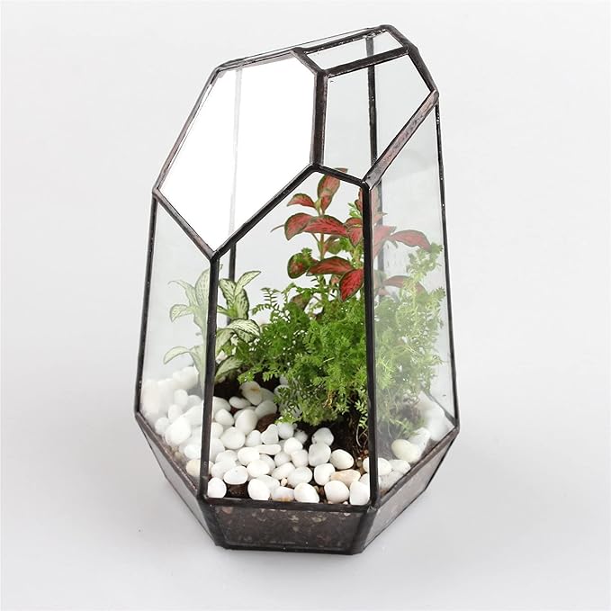 NCYP Small Glass Geometric Terrarium - 4.9 x 3.9 x 7.4 Inches Irregular Clear Planter Pot for Succulents, Cactus, Indoor Garden Tabletop Decoration, Centerpiece (No Plants, No Door)-Ruum Studio Home
