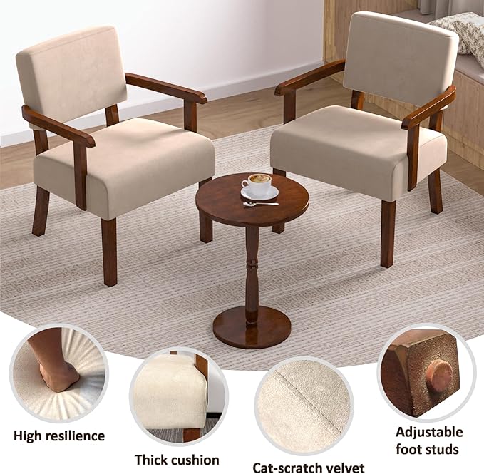 Accent Chair, Cat-Scratch Velvet Living Room Chairs Oversize with Soft Seat and Armrests for Dinning Room Bedroom Reading Room Waiting Room-Ruum Studio Home