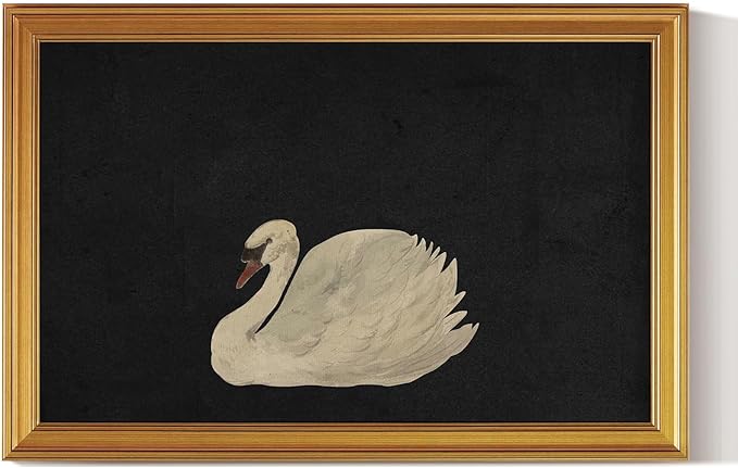HUARCEY Gold Framed Vintage Wall Art for Living Room, Grace Swan Art Painting Pictures Animal Bathroom Prints Farmhouse Wall Decor Large Canvas Swan Aesthetic Decor for Kitchen Bedroom Zwaan 24"x36"-Ruum Studio Home
