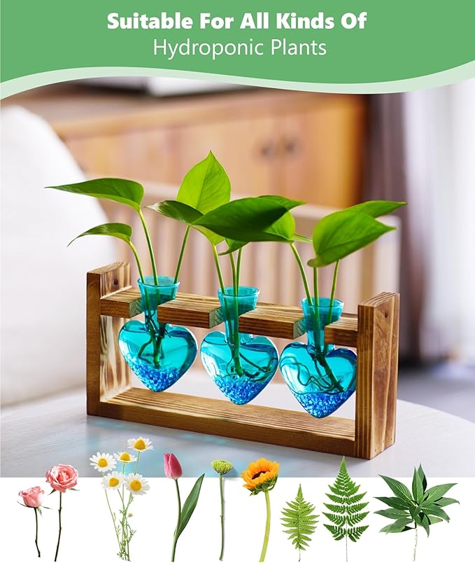 Nacome Plant Terrarium for Office Decor: Birthday Gifts for Plant Lovers Women Mom Wife - Wooden Stand Tabletop Planter 3 Bulb Glass Vase Heart Shaped for Hydroponics Indoor Home-Ruum Studio Home