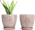6 Inch Retro Ceramic Planter Set of 2 with Drainage Hole and Saucer for Plants, Indoor-Outdoor Garden Pots for Succulent, Orchid, and Flower (Fits Inner Pots Up to 5 Inches, Retro Peach)-Ruum Studio Home