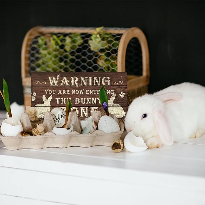 Putuo Decor Funny Rabbit Sign Bunny Rabbit Home Decor Gift Bunny Mom Bunny Lover 12 x 6 Inch (The Bunny Zone) Easter Decorations-Ruum Studio Home