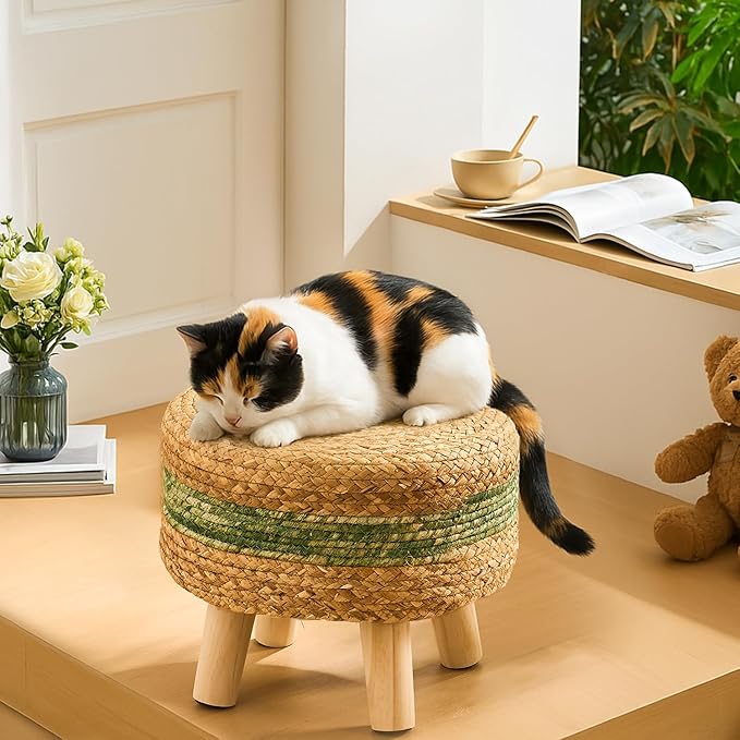 Handwoven Round Ottoman, Natural Water Hyacinth Outdoor Patio Pouf Seagrass Low Stool with Wood Legs, Soft Padded Footrest for Living Room Bedroom Garden, Green-Ruum Studio Home