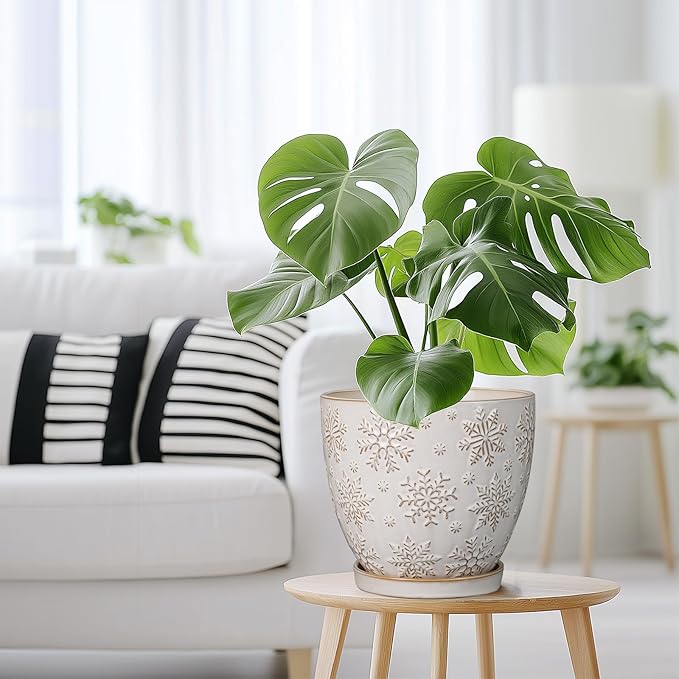 Ceramic Planter 8 Inch Plant Pot with Drainage Hole and Saucer Ceramic Pots for Indoor Plants Outdoor Large Flower Pot for Home Decor White-Ruum Studio Home