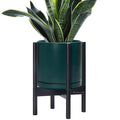 D'vine Dev Ceramic Planter with Ebony Stand - 10 Inch Modern Round Flower Pot with Wood Planter Holder, Teal, 55-B-L-4-Ruum Studio Home