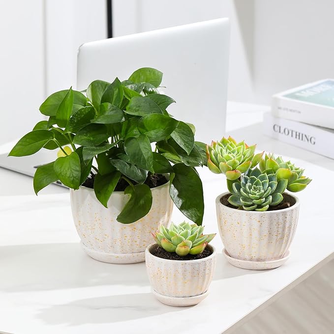 Ceramic Plant Pots with Drainage Holes and Saucers, Round Flower Pots for Indoor Plant, Diameter 3.3/4.3/5.5 Inches Small Flower Planters Set of 3-Ruum Studio Home