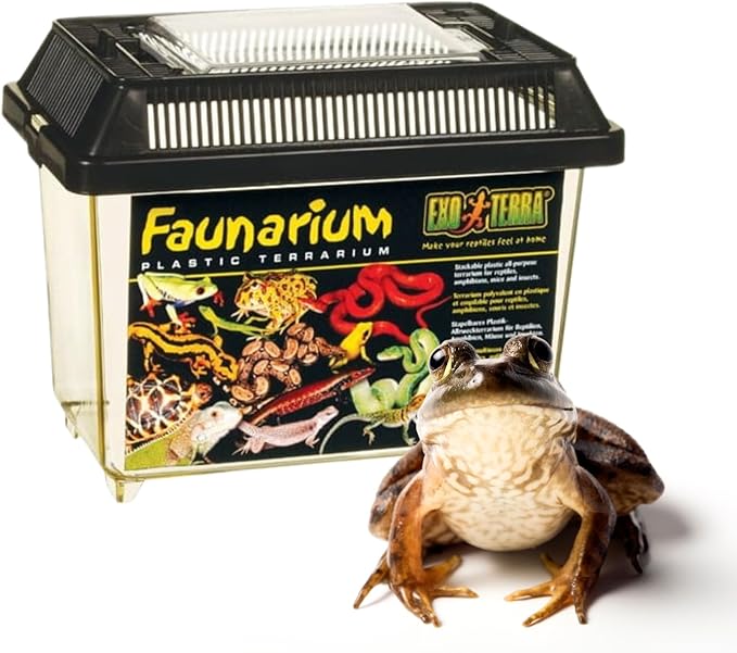 Exo Terra Faunarium, Plastic Reptile Terrarium, Small, PT2255-Ruum Studio Home