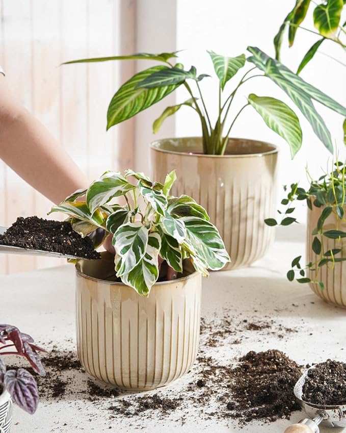 LE TAUCI Fluted Ceramic Planters Set of 3 – 8.3/7 / 5.7 in Cloud Cream Reactive Cylinder Indoor Plant Pots with Drainage Plug & Mesh, Glossy Stoneware Flower Pots for Succulents Herbs-Ruum Studio Home