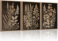HLNIUC Vintage Botanical Fern Framed Canvas Wall Art Set,Black and Tan Plant Leaf Wall Decor,Netural Minimalist Herb Floral Art Print,Modern Farmhouse Wall Painting for Living Room,Bedroom - 16”x24”x3-Ruum Studio Home