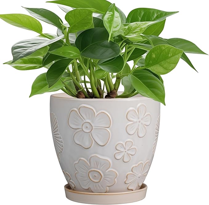 6.9 Inch Plant Pot with Drainage Hole and Saucer Ceramic Planter for Indoor Plant Flower Pot for Orchid Succulents Plants White-Ruum Studio Home