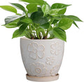 6.9 Inch Plant Pot with Drainage Hole and Saucer Ceramic Planter for Indoor Plant Flower Pot for Orchid Succulents Plants White-Ruum Studio Home