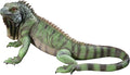 Design Toscano Iggy The Iguana Indoor/Outdoor Garden Statue, Large, 22 Inch Long, Cast Stone Resin, Full Color Finish-Ruum Studio Home