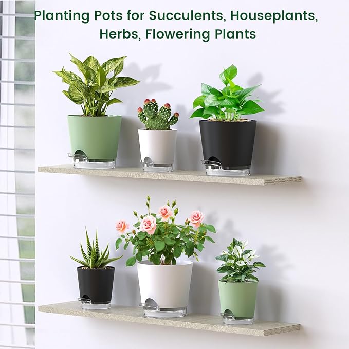 6 inch Self Watering Pots for Indoor Outdoor Plants, 3 Pack Flower Plant Pots with Drainage Holes and Clear Reservoirs, Visible Water Level, Plastic Planters with Wicking Rope, Black-Ruum Studio Home
