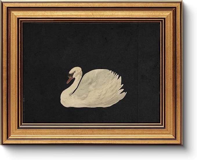 HUARCEY Gold Framed Vintage Wall Art for Living Room, Grace Swan Art Painting Pictures Rustic Animal Bathroom Prints Farmhouse Wall Decor Mother's Day Gifts for Mom Canvas Swan Shelf Decor for Bedroom-Ruum Studio Home