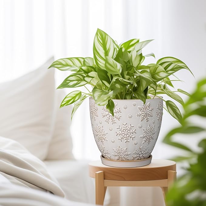 Ceramic Planter 8 Inch Plant Pot with Drainage Hole and Saucer Ceramic Pots for Indoor Plants Outdoor Large Flower Pot for Home Decor White-Ruum Studio Home
