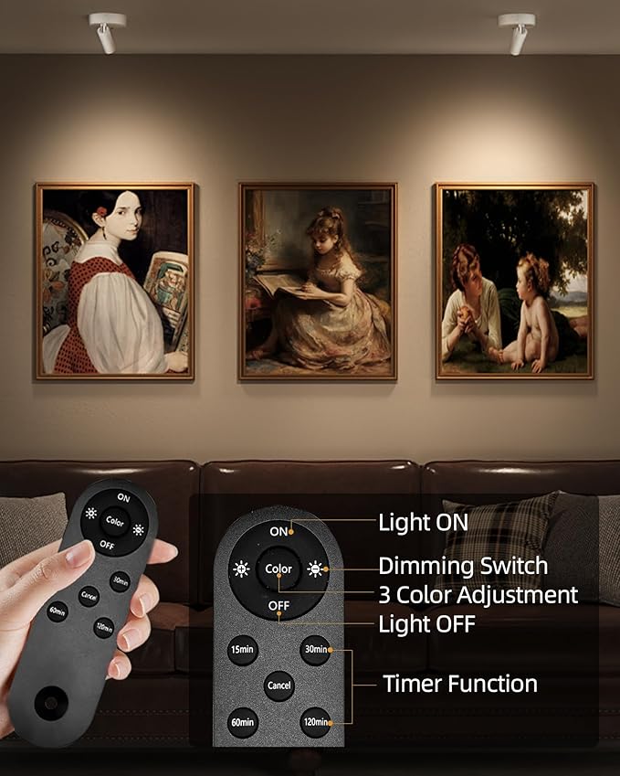 EZVALO Spot Lights Indoor,5500mAh Rechargeable Plants Spotlights with Remote,Wireless Mini Art Accent Spot Lights with Timer＆Dimmable, 3CCT, Uplights Indoor for Plants,Display,Artwork(4Pack-White)-Ruum Studio Home