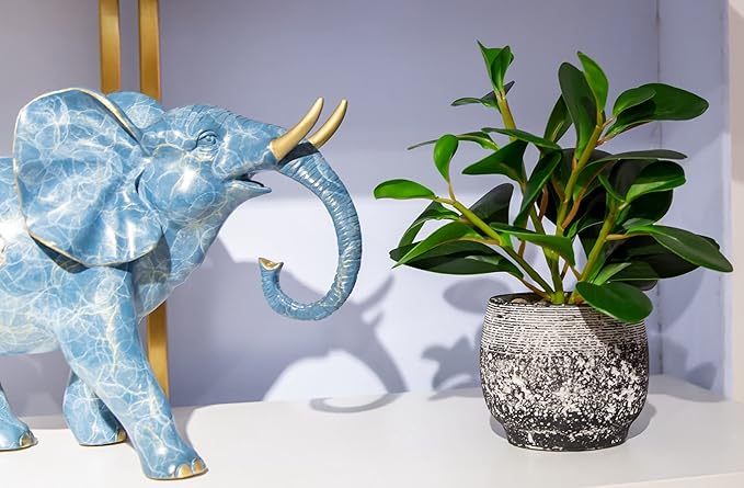 AlphaAcc Artificial Plants Potted Real Looking Small Faux Plant with Rustic Black Cement Planter for Kitchen Office Desk Bookshelf Decor (Ficus Plant)-Ruum Studio Home