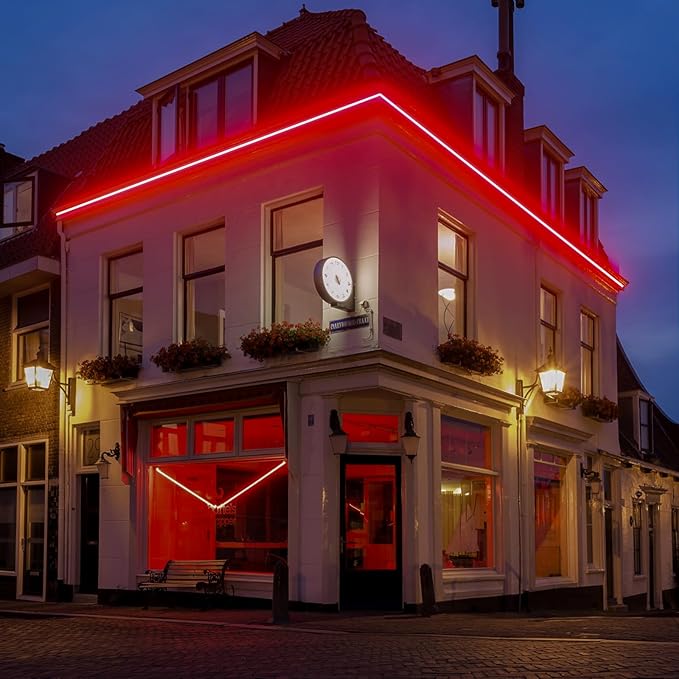 GZBtech Flexible LED Neon Rope Lights 33FT,AC 110-120V Waterproof Strip Light, 120 LEDs/M Cuttable Connectable Neon Lighting for Indoor Outdoor Home Decor/Commercial Building Use-Red 10M-Ruum Studio Home