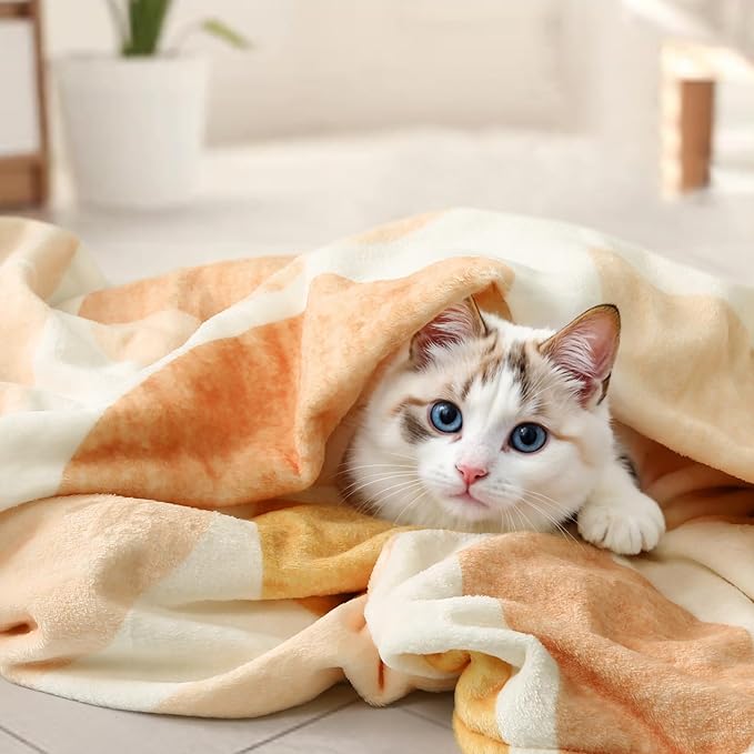 Lahome Terracotta Throw Blanket Soft Cozy Fluffy Warm Throw Blanket for Couch Reversible Geometric Fuzzy Blankets for Bed Sofa Chair, Orange 50''x60''-Ruum Studio Home