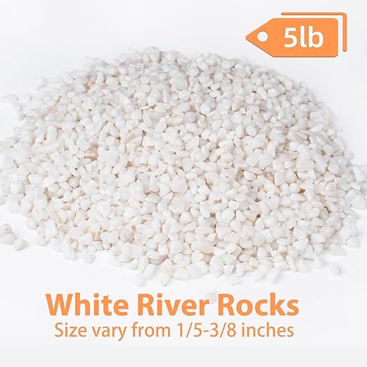 5 lbs White Aquarium Gravel, 1/5 Inch White Rocks for Plants, Small Pebbles for Vases, Succulents, Bamboo, Natural Decorative Pebbles for Plants Drainage, Cactus, Crafts-Ruum Studio Home