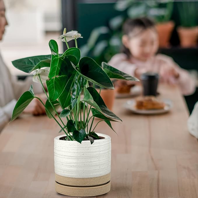 6 Inch Plant Pots, Ceramic Planter Pot with Drainage Hole & Saucer, Indoor/Outdoor Cylinder Round Planter Pot, White & Beige Glaze-Ruum Studio Home
