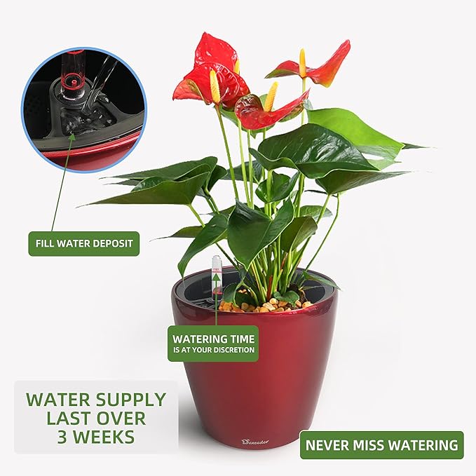 Dexceder 9x8 Inches High Gloss Self Watering Planter Indoor Outdoor, Inner Pot Design, Thickened Table Flower Plant Pot with Water Level Indicator (Red)-Ruum Studio Home