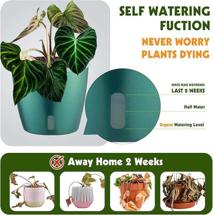 Self Watering Pots for Indoor Plants, 6-Pack 5'' Self Watering Planter with Drainage Holes, Small African Violet Pots with Water Indicator, Clear Wick Orchid Pot, Blue Gold-Ruum Studio Home