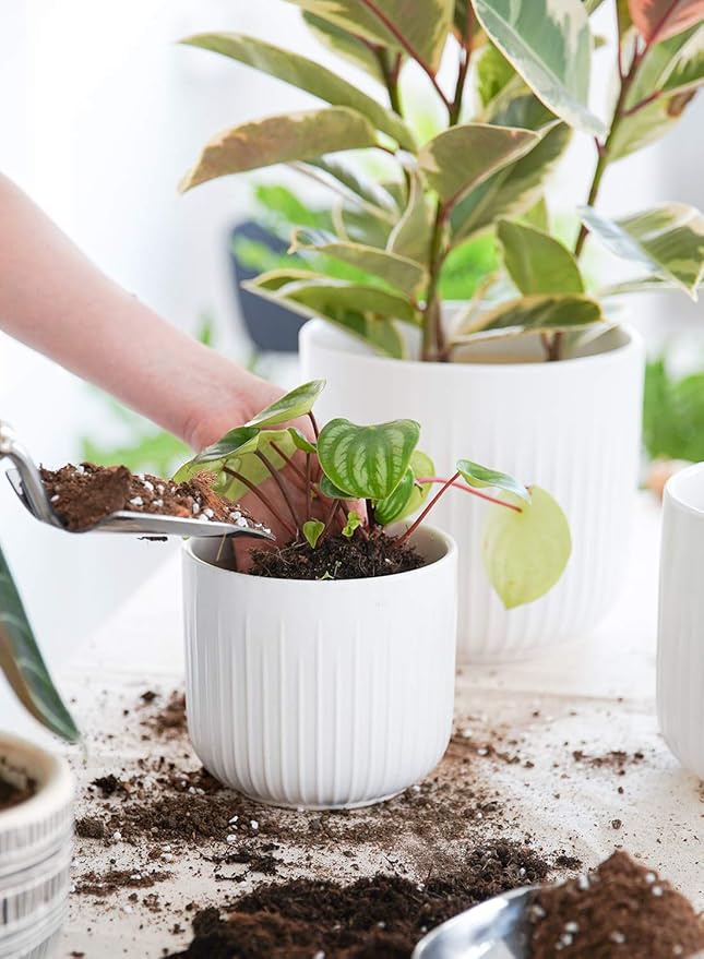 LE TAUCI Fluted Ceramic Planters Set of 3 – 8.3/7 / 5.7 in White Cylinder Indoor Plant Pots with Drainage Plug & Mesh, Matte Glazed Stoneware Flower Pots for Succulent Herb Cactus-Ruum Studio Home