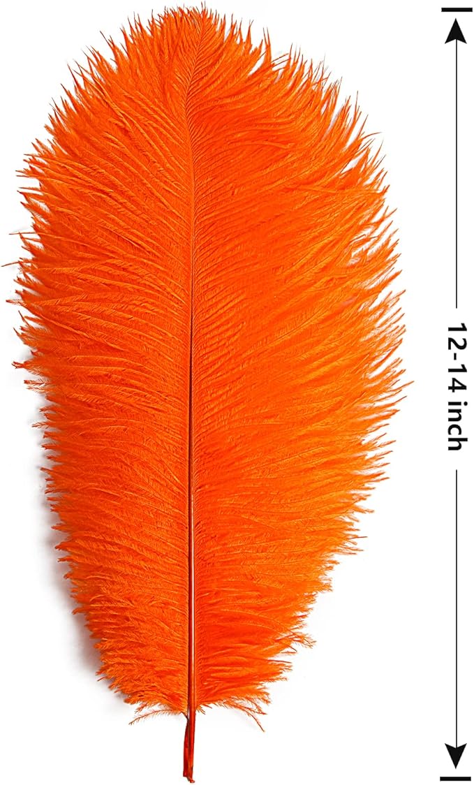 THARAHT Orange Ostrich Feathers 12pcs Large Natural Bulk 12-14Inch 30cm-35cm for Wedding Party Centerpieces Halloween and Home Decoration Feathers-Ruum Studio Home