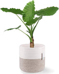 Woven Cotton Rope Plant Basket for 11 inch Flower Pot Floor Indoor Planters,Decorative Small Basket for Plants Storage Organizer Modern Home Decor (12" x 12", Khaki)-Ruum Studio Home