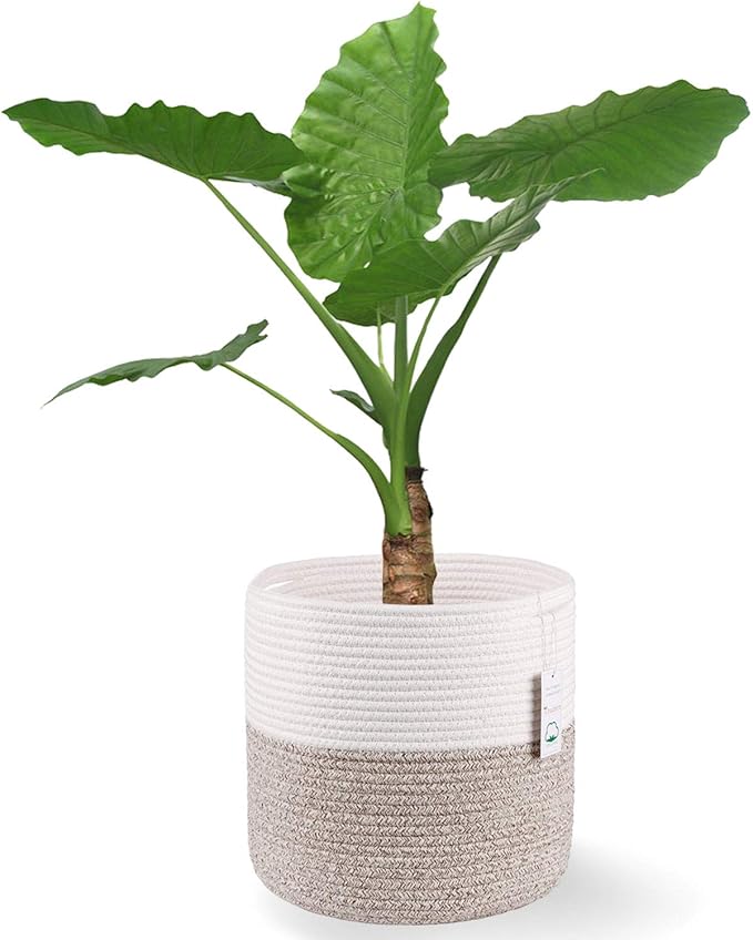 Woven Cotton Rope Plant Basket for 11 inch Flower Pot Floor Indoor Planters,Decorative Small Basket for Plants Storage Organizer Modern Home Decor (12" x 12", Khaki)-Ruum Studio Home