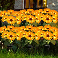 Solar Sunflower Lights 6 Pack with 36 Sunflower Solar Lights Outdoor Garden Decor Birthday Gift for Mom Women Grandma,Waterproof Solar Flower Garden Stake Lights for Yard Landscape Patio Lawn Pathway-Ruum Studio Home