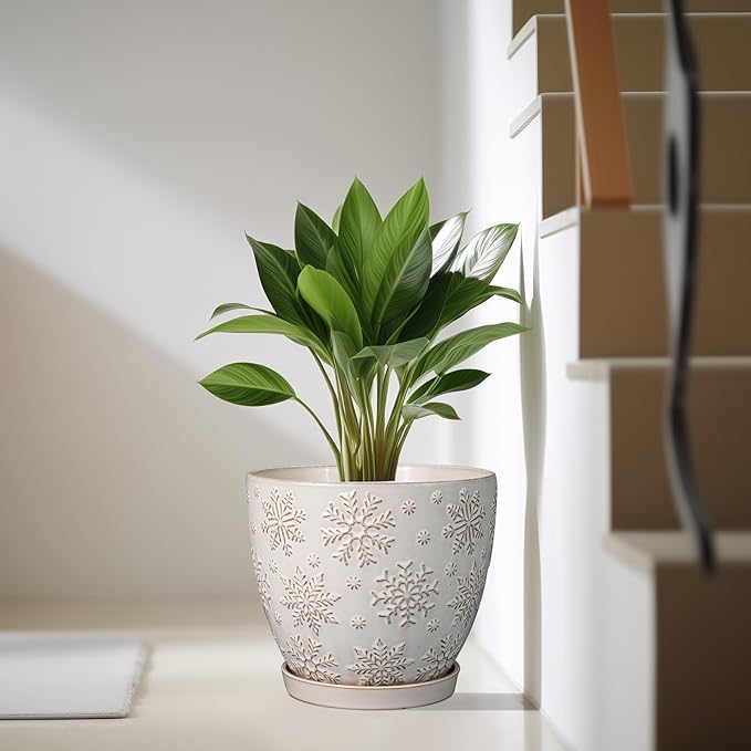 10 Inch Ceramic Planter Pot Large Plant Pot for Indoor Plants Outdoor Round Flower Pot with Drainage Hole and Saucer for Home Garden Decor White-Ruum Studio Home