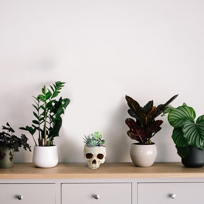 READAEER Skull Planter with Drain Hole, Resin Skull Shaped Flower Pot Candy Bowl, Gothic Decoration for Home Office Desk- White-Ruum Studio Home