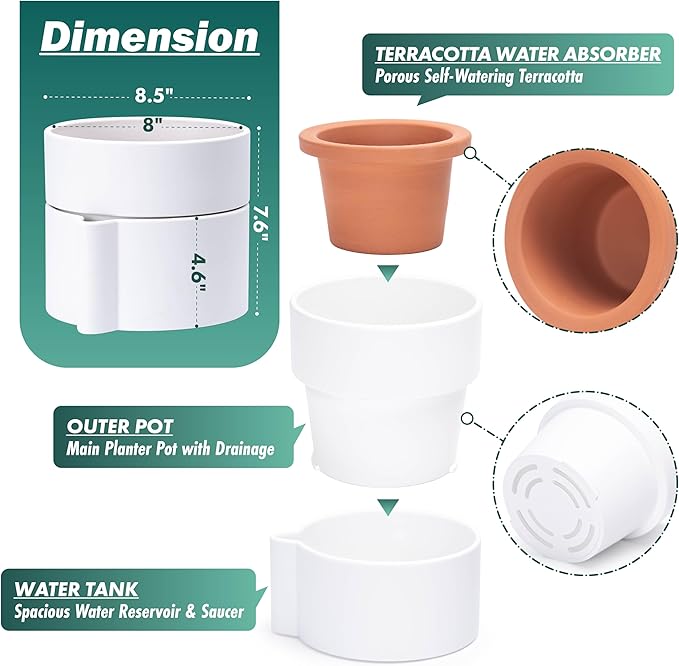 Phoenix Vine 8 Inch Self-Watering Planter Pot with Terracotta Insert, Deep Water Reservoir, and Ceramic-Alike BPA-Free Plastic Planter Pot for Plant, Modern Planter for Houseplants, White, 53-A-T-1-Ruum Studio Home