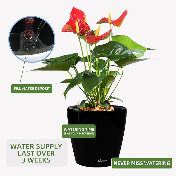 Dexceder 18x17 Self Watering Planter with Wheels Indoor Outdoor, Inner Pot Design, Thickened Large Floor Standing Flower Plant Pot with Water Level Indicator (Black Matte)-Ruum Studio Home