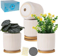 TAMAYKIM 4 Inch Ceramic Plant Pots with Drainage Holes, Modern Flower Planter with Saucer for Indoor Plants, Succulent, Cactus & Herbs, White, Set of 4 (Plants Not Included)-Ruum Studio Home